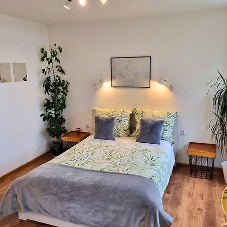 Apartamenty Boleslawiec Spoldzielcza Free Parking Bagian luar foto